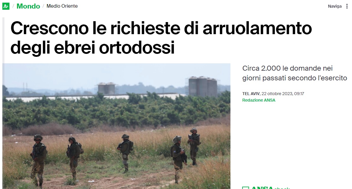 orto.jpg