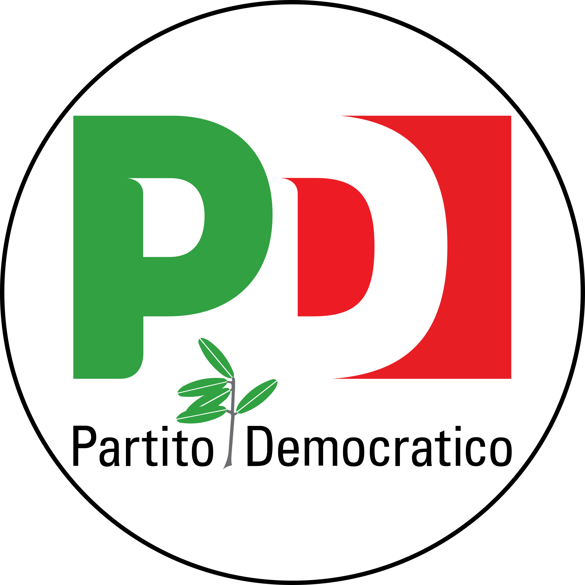 Partito_Democratico_-_Logo_elettorale.svg.png