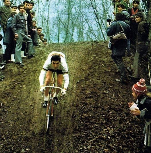 Merckx ciclocross.jpg