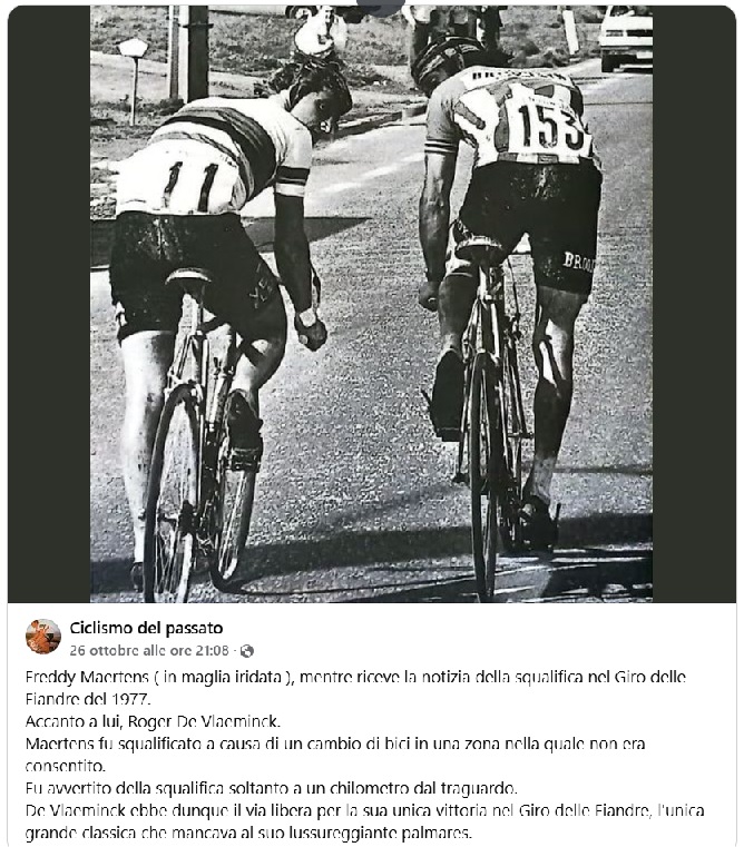 Maertens.jpg