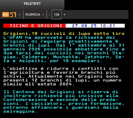 cuccioli.jpg